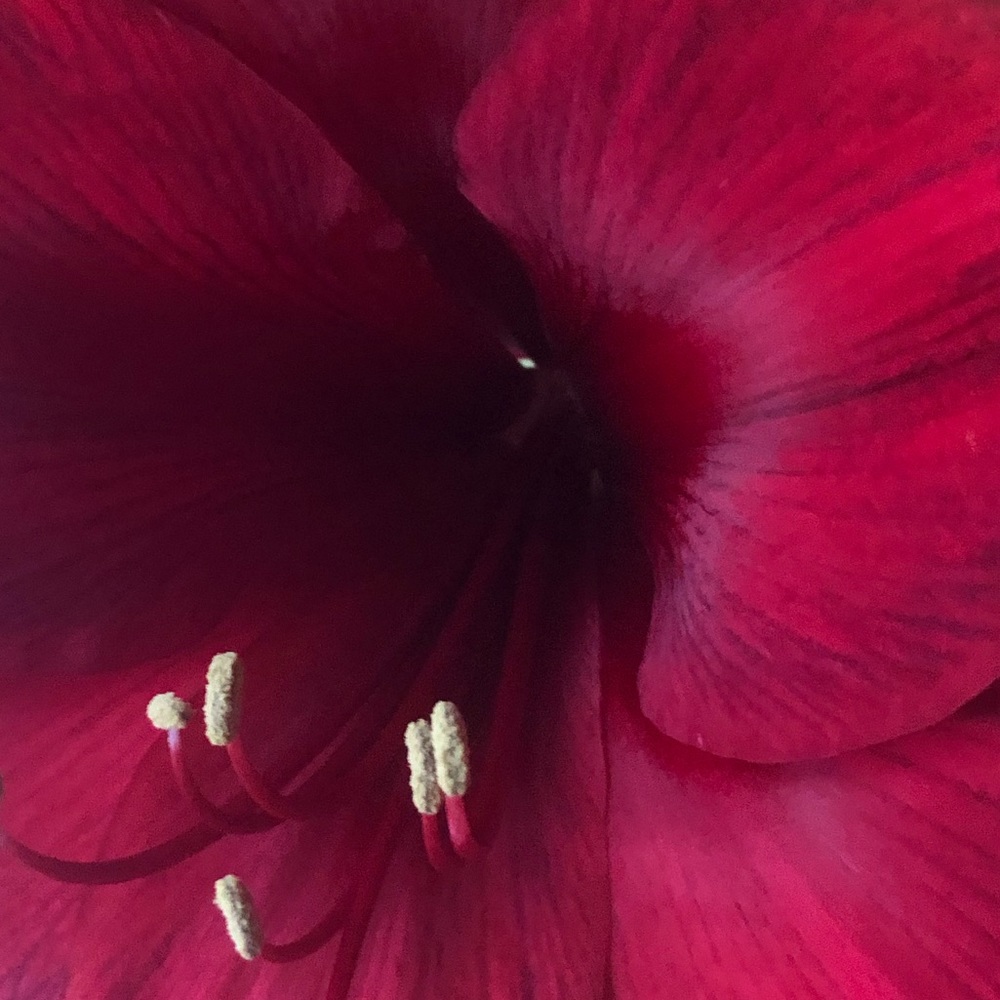 Meet your Posher, Moira